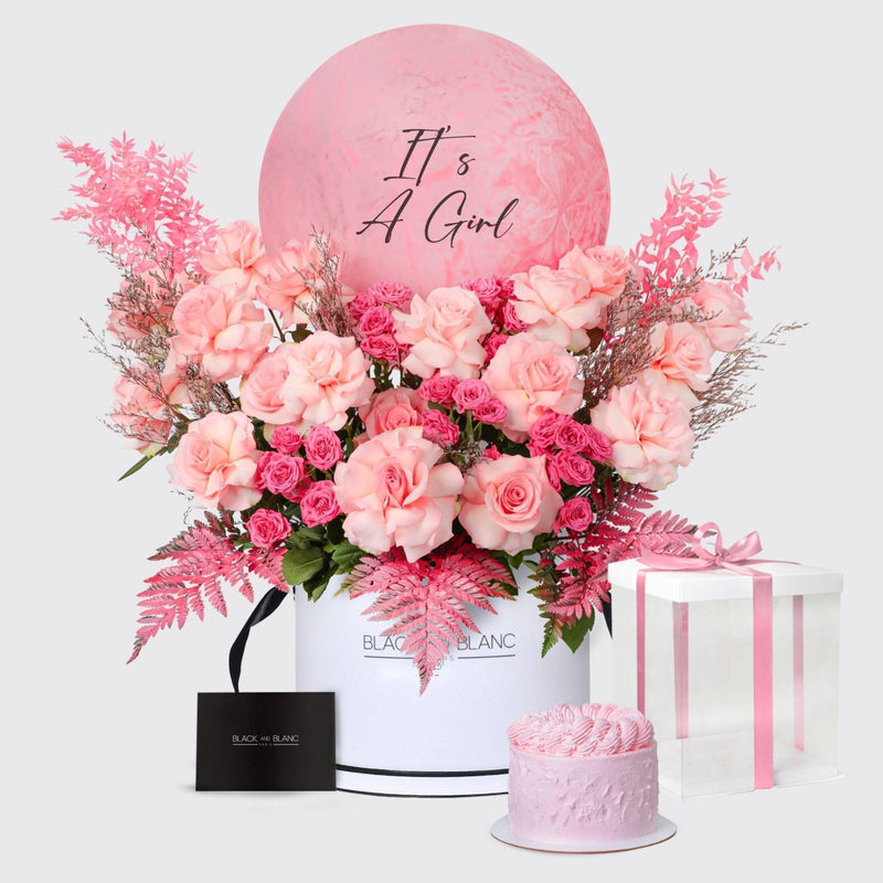 It's A Girl Blush in Box - BLACK AND BLANC