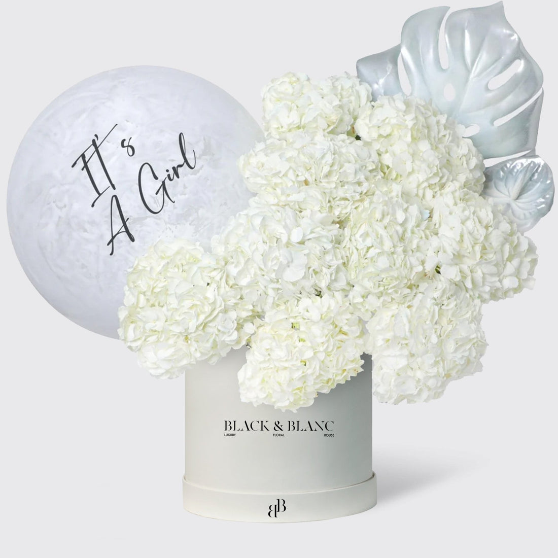 It's a Girl Ivory Cloud in Box - BLACK AND BLANC