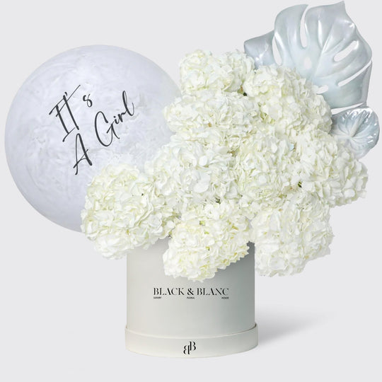 It's a Girl Ivory Cloud in Box - BLACK AND BLANC