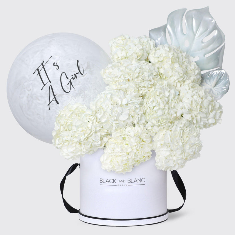 It's a Girl Ivory Cloud in Box - BLACK AND BLANC