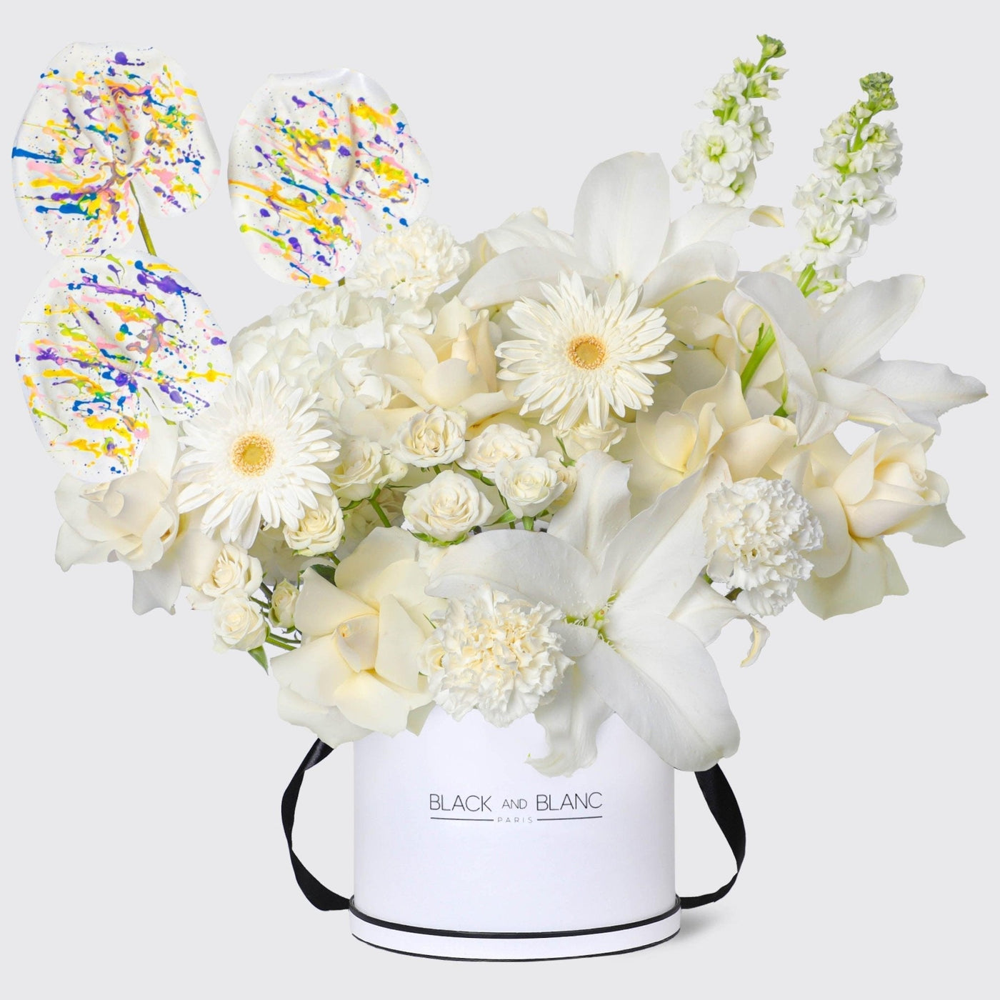 Ivory Elegance in Box - BLACK AND BLANC