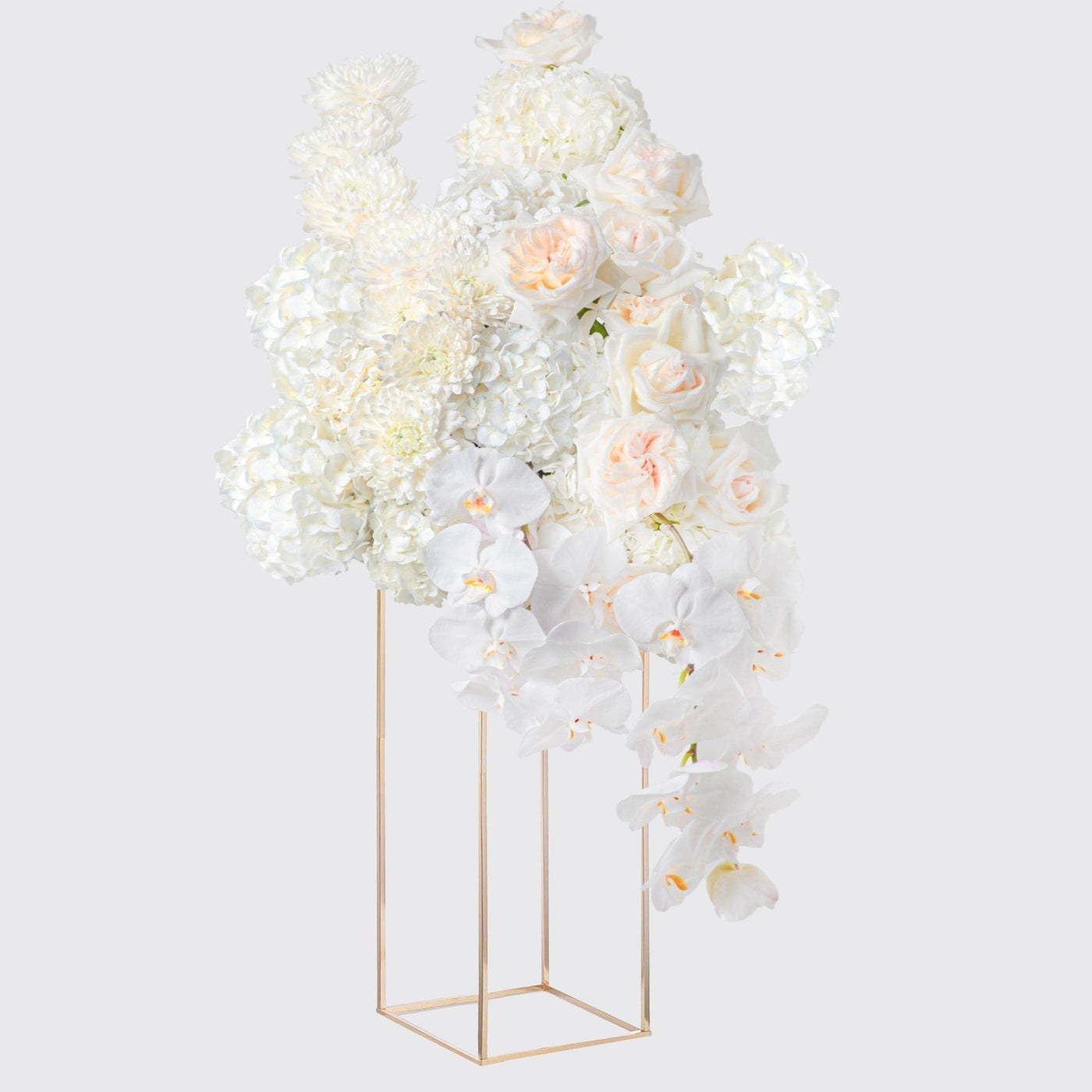 Ivory Welcome - BLACK AND BLANC