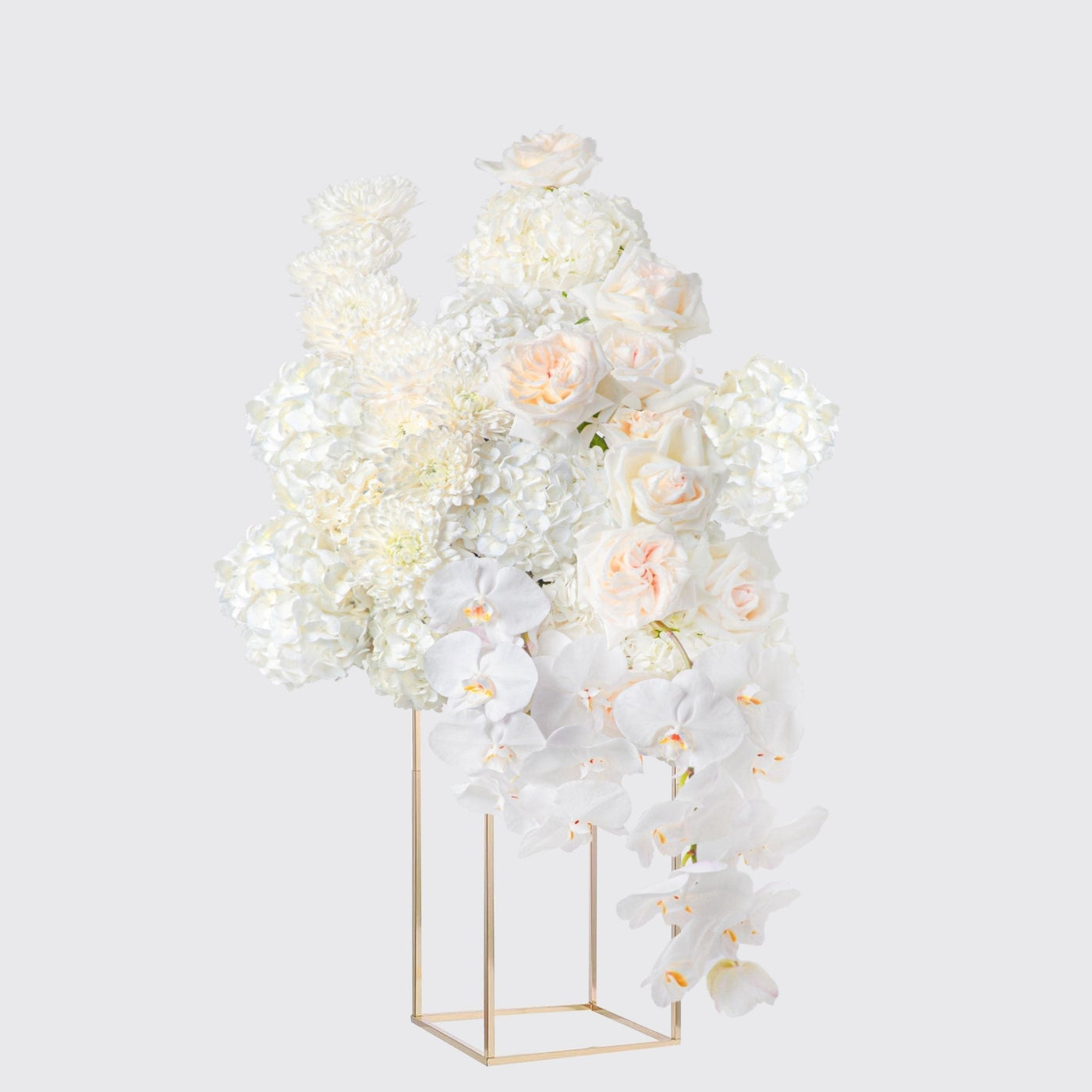 Ivory Welcome - BLACK AND BLANC