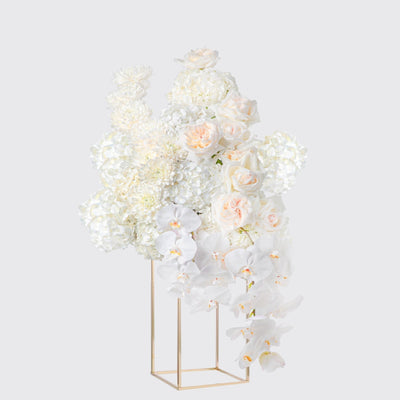 Ivory Welcome - BLACK AND BLANC