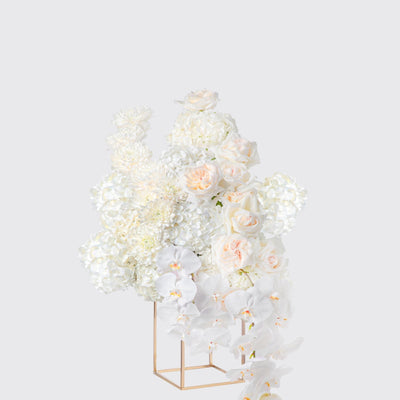 Ivory Welcome - BLACK AND BLANC