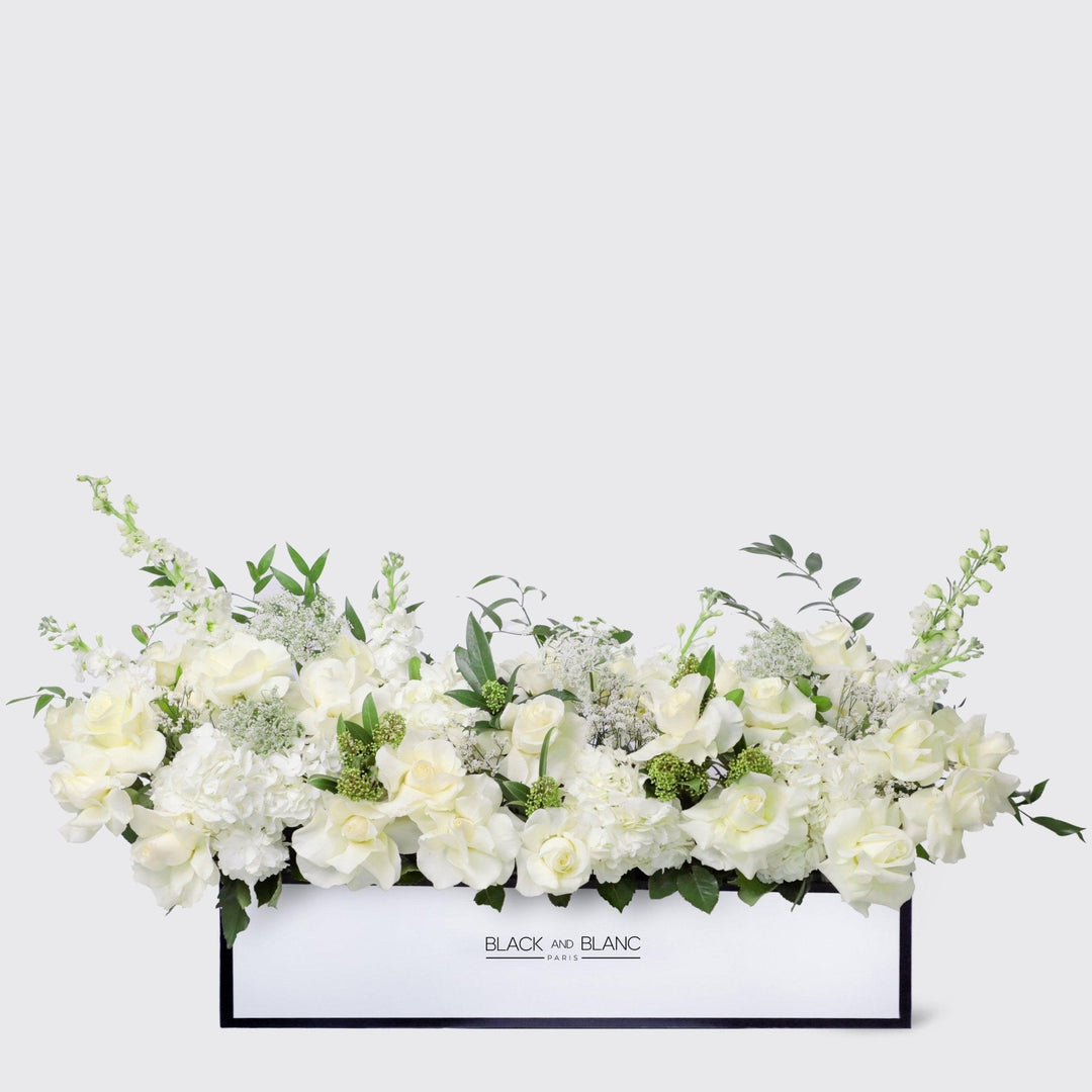 Jardin Blanc in 1 Meter Box - BLACK AND BLANC