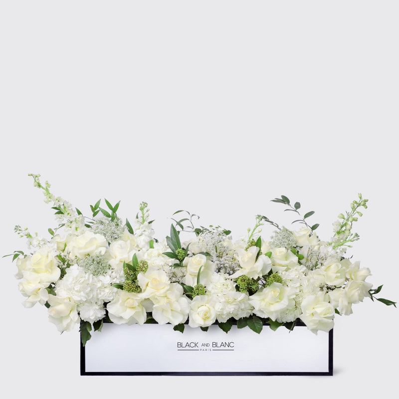 Jardin Blanc in 1 Meter Box - BLACK AND BLANC