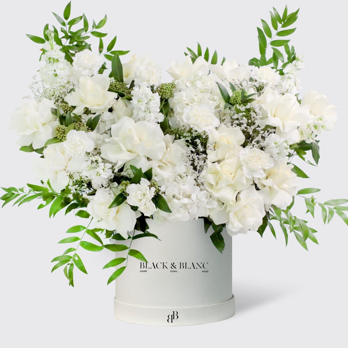 Jardin Blanc in Box - BLACK AND BLANC