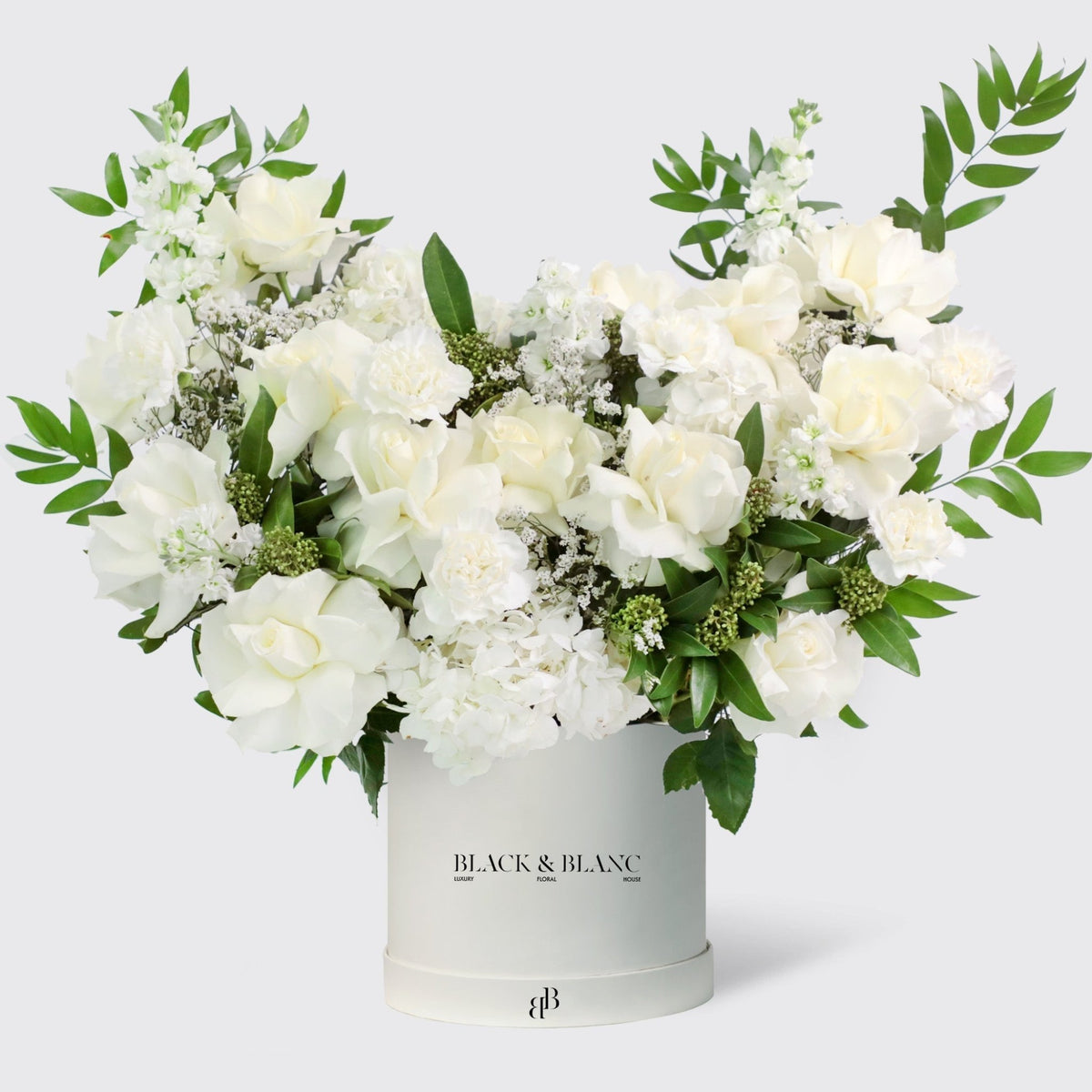 Jardin Blanc in Box - BLACK AND BLANC