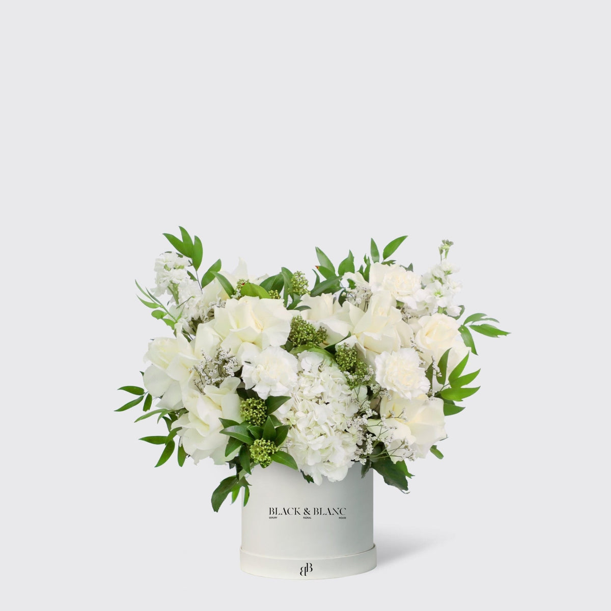 Jardin Blanc in Box - BLACK AND BLANC