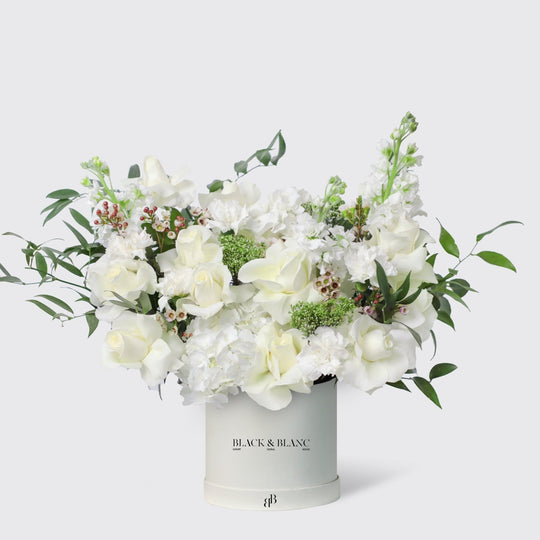 Jardin Blanc in Box - BLACK AND BLANC