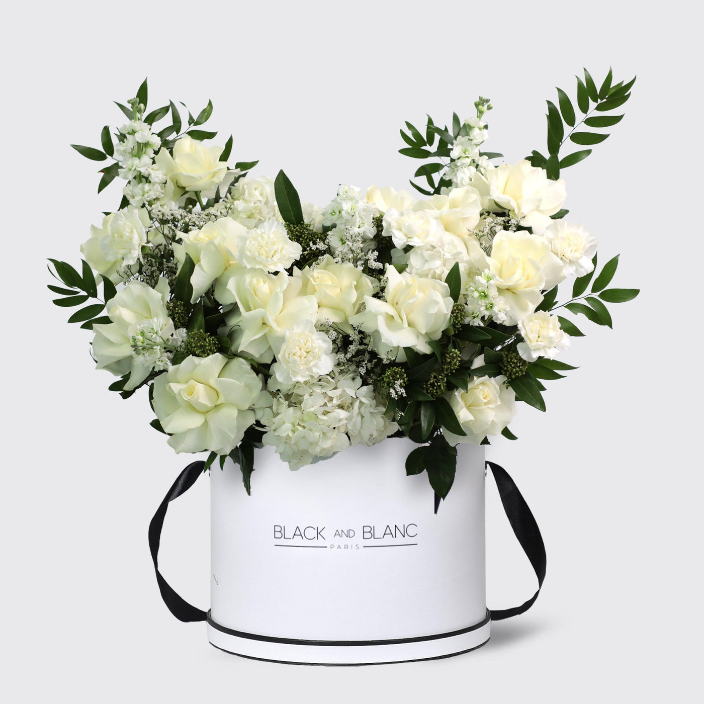 Jardin Blanc in Box - Le Maxi / White