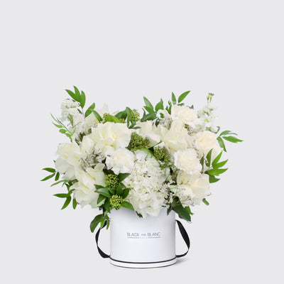 حديقة بلانك في صندوق