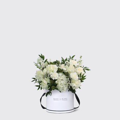 Jardin Blanc in Box - Le Medium / White