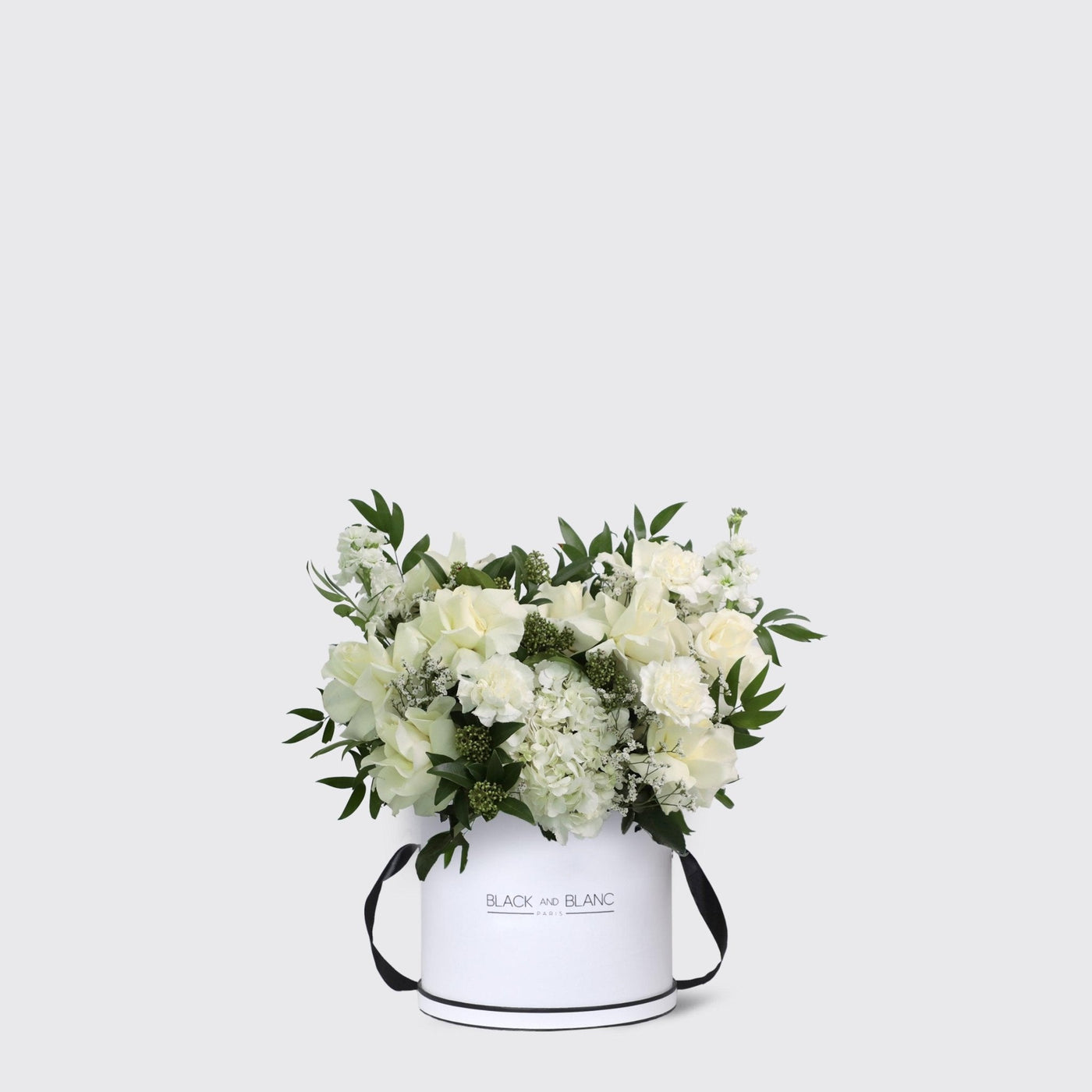 Jardin Blanc in Box - BLACK AND BLANC