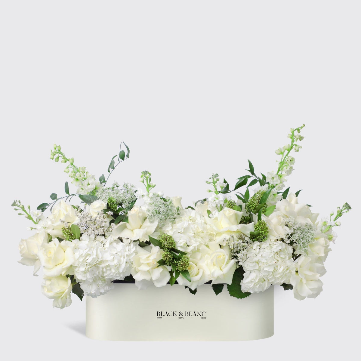 Jardin Blanc in Half Meter Box - BLACK AND BLANC