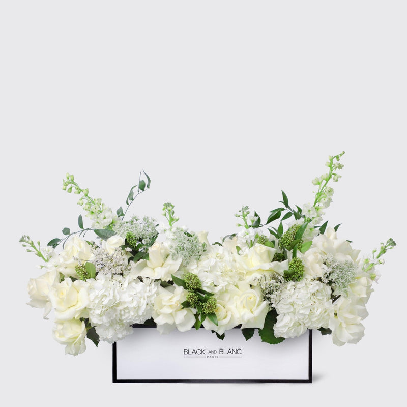 Jardin Blanc in Half Meter Box - BLACK AND BLANC