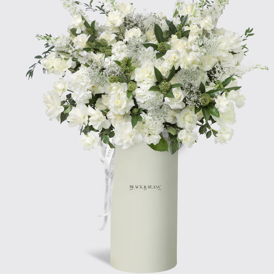 Jardin Blanc in Pinnacle Box - BLACK AND BLANC