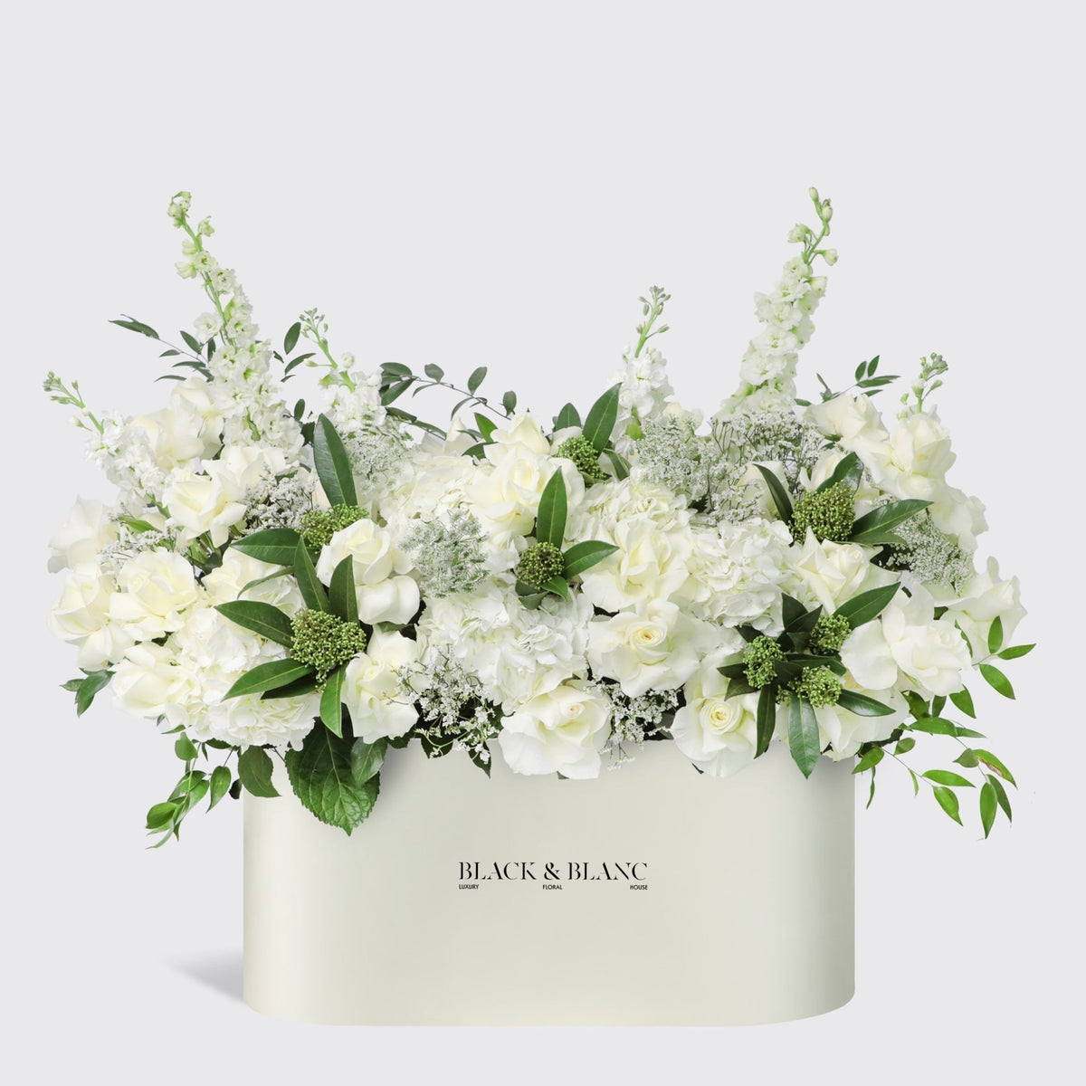 Jardin Blanc in Zenith Box - BLACK AND BLANC