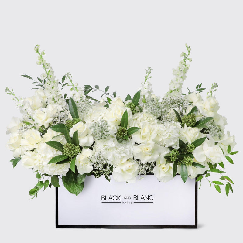 Jardin Blanc in Zenith Box - BLACK AND BLANC