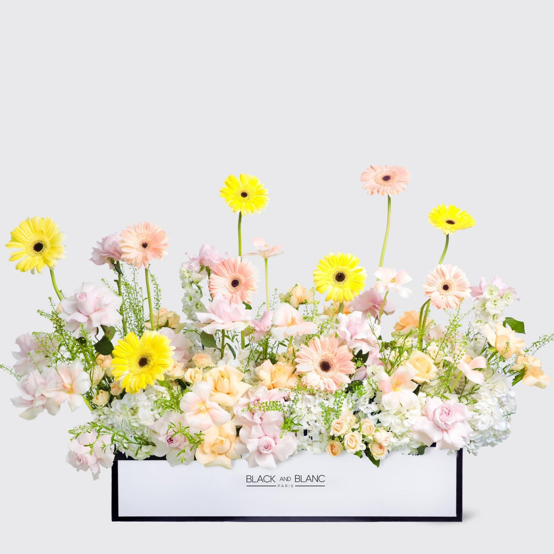 Jardin d’Aurore in 1 Meter Box - BLACK AND BLANC