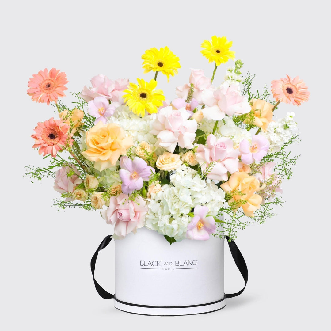 Jardin d’Aurore in Box - BLACK AND BLANC