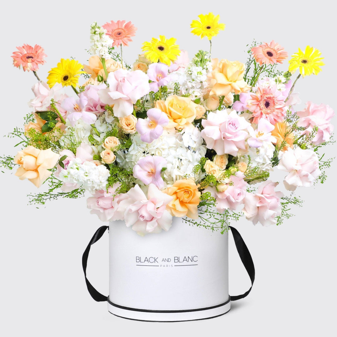 Jardin d’Aurore in Box - BLACK AND BLANC