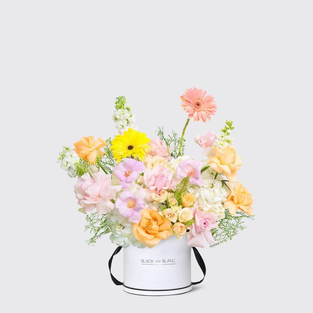 Jardin d’Aurore in Box - BLACK AND BLANC