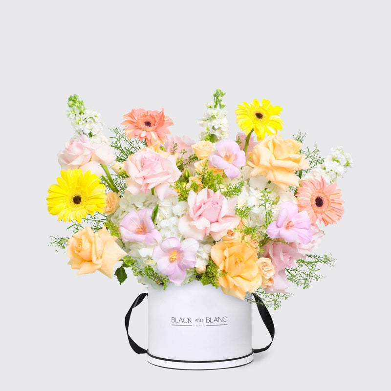 Jardin d’Aurore in Box - BLACK AND BLANC