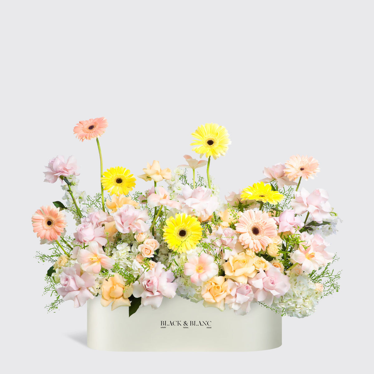 Jardin d’Aurore в коробке полметра