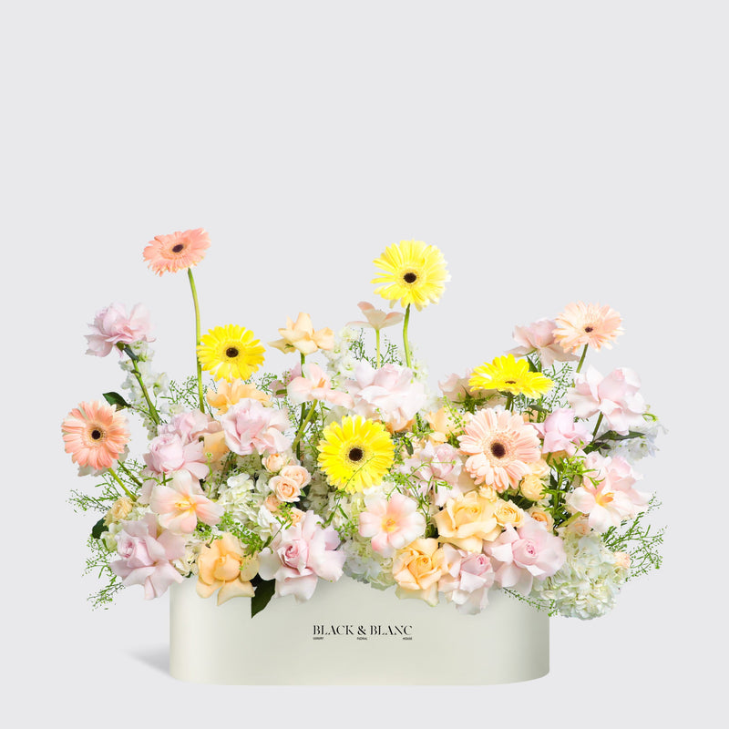 Jardin d’Aurore в коробке полметра