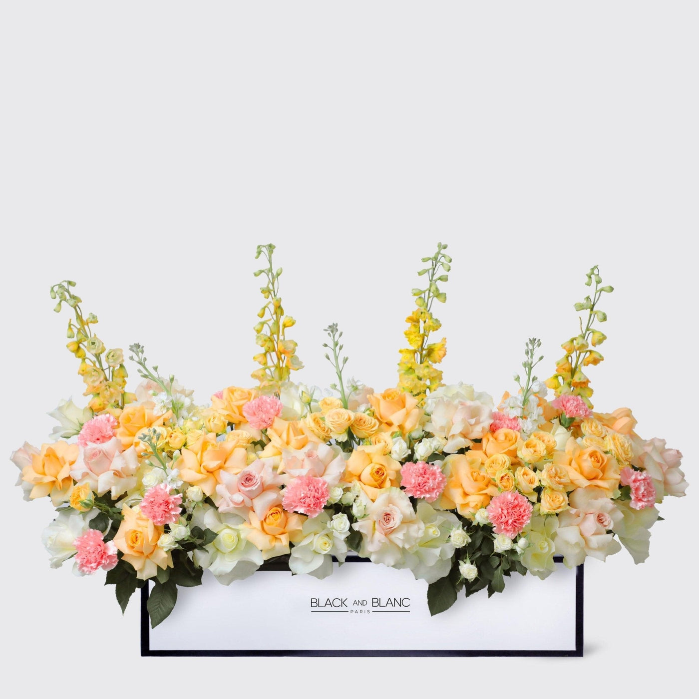 Jardin Soleil in 1 Meter Box - BLACK AND BLANC