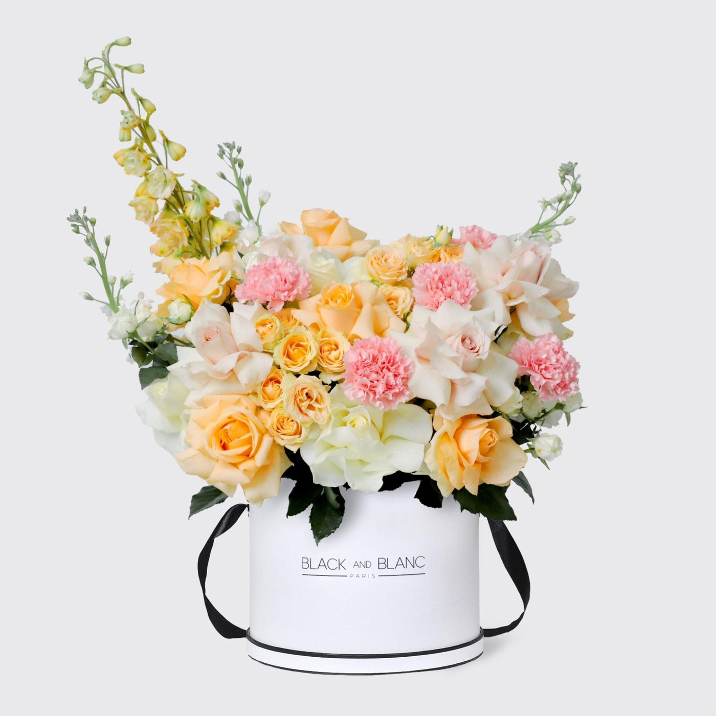 Jardin Soleil in Box - BLACK AND BLANC