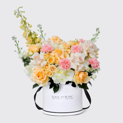 Jardin Soleil in Box - BLACK AND BLANC