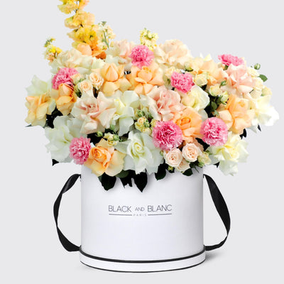 Jardin Soleil in Box - BLACK AND BLANC