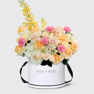 Jardin Soleil in Box - BLACK AND BLANC