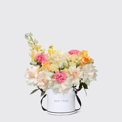 Jardin Soleil in Box - BLACK AND BLANC