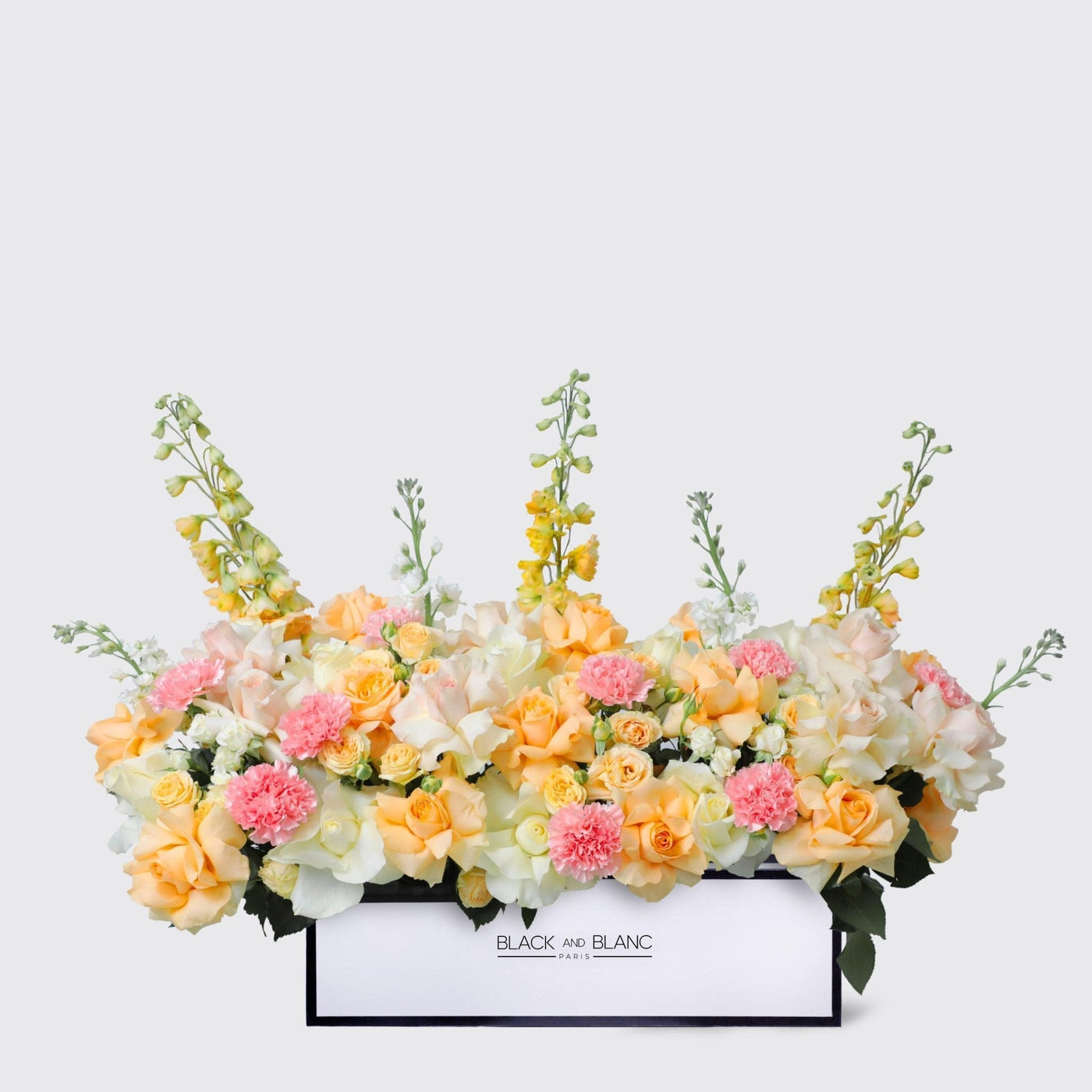 Jardin Soleil in Half Meter Box - BLACK AND BLANC