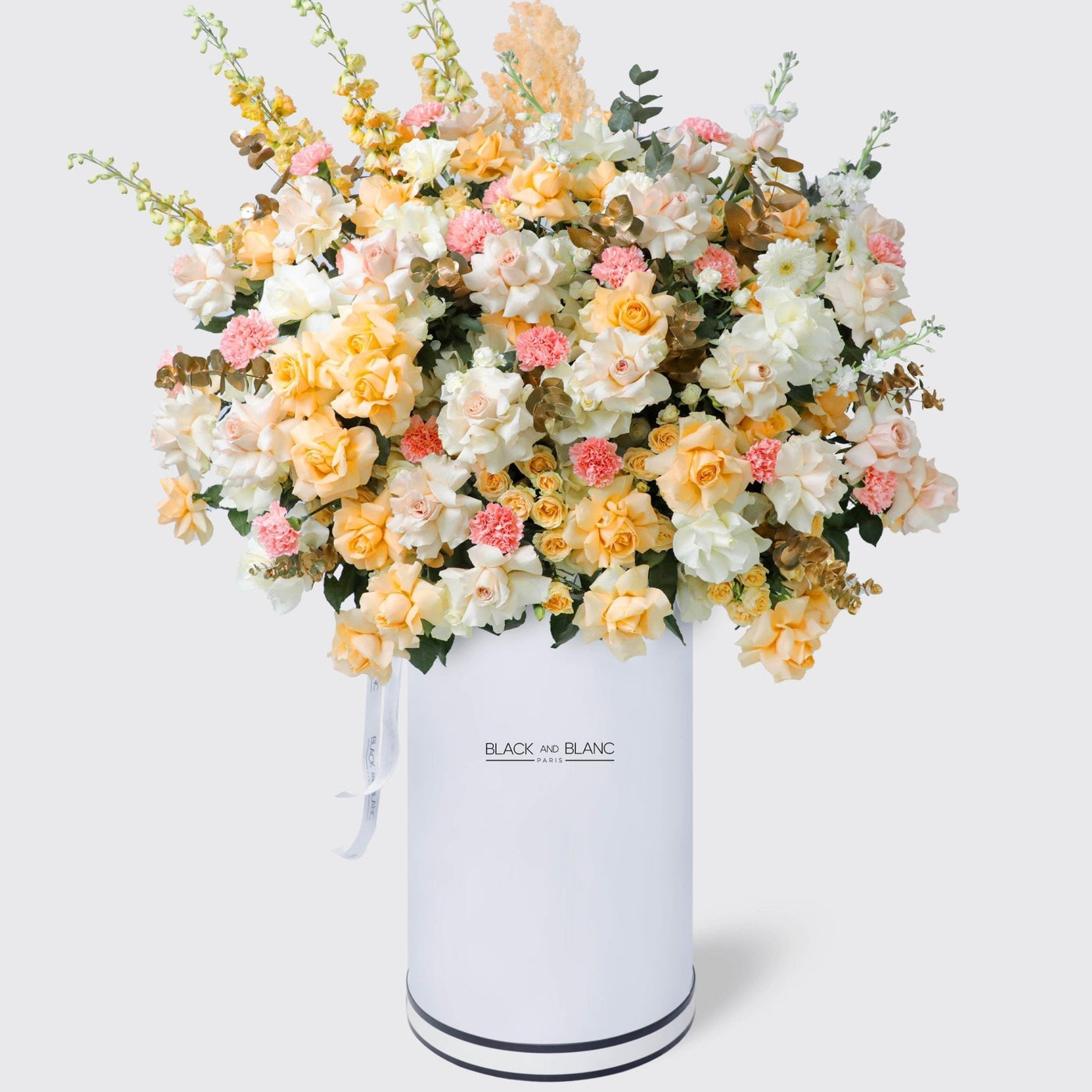 Jardin Soleil in Pinnacle Box - BLACK AND BLANC