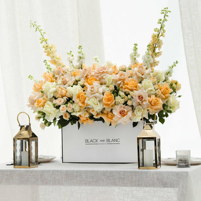 Jardin Soleil in Zenith Box - BLACK AND BLANC