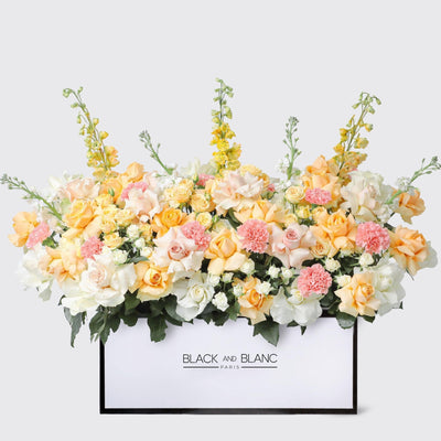 Jardin Soleil in Zenith Box - BLACK AND BLANC