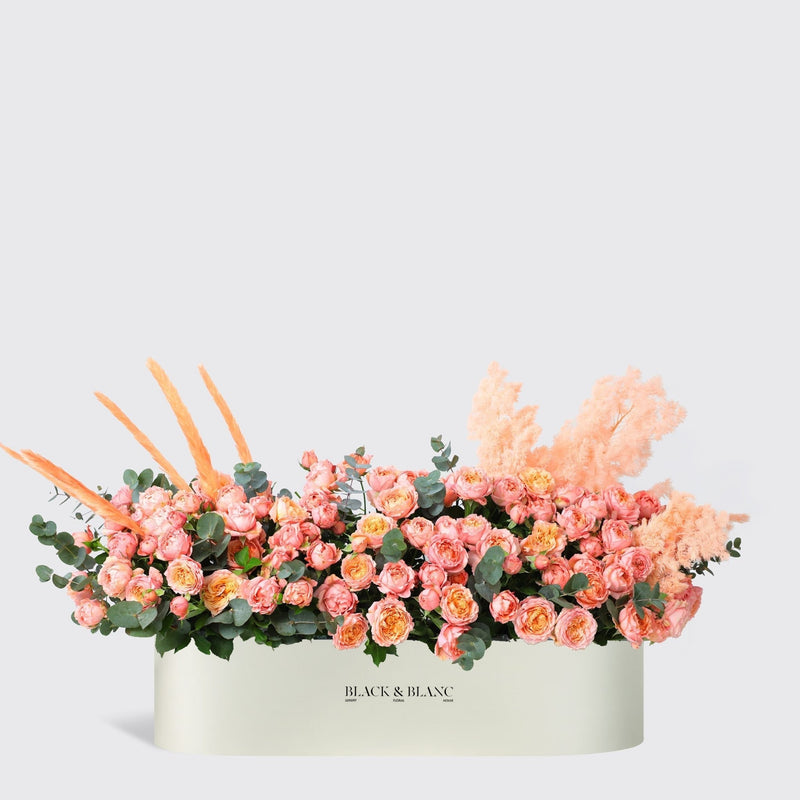 Julietta Peach 1 Meter in Box - BLACK AND BLANC