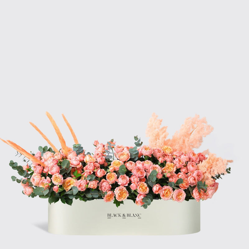 Julietta Peach 1 Meter in Box - BLACK AND BLANC