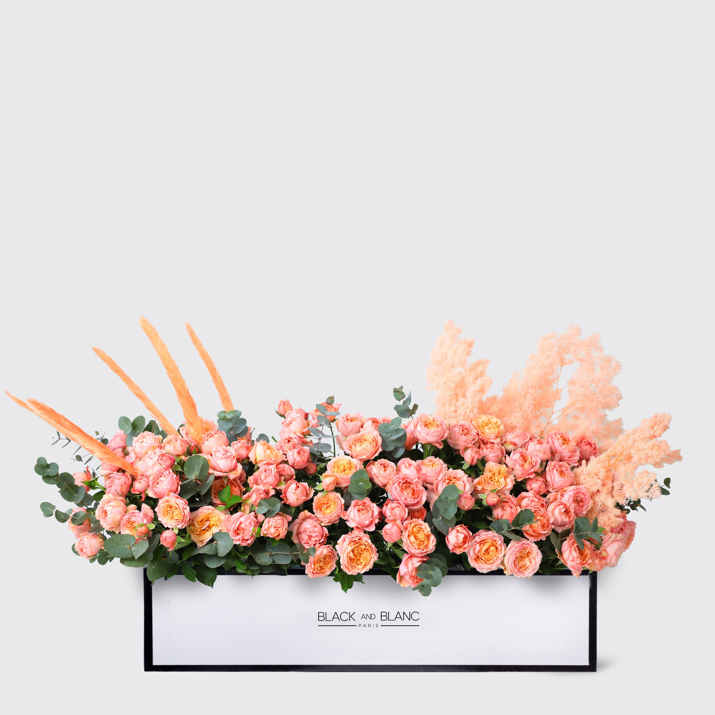 Julietta Peach 1 Meter in Box - Fresh Flowers - wd