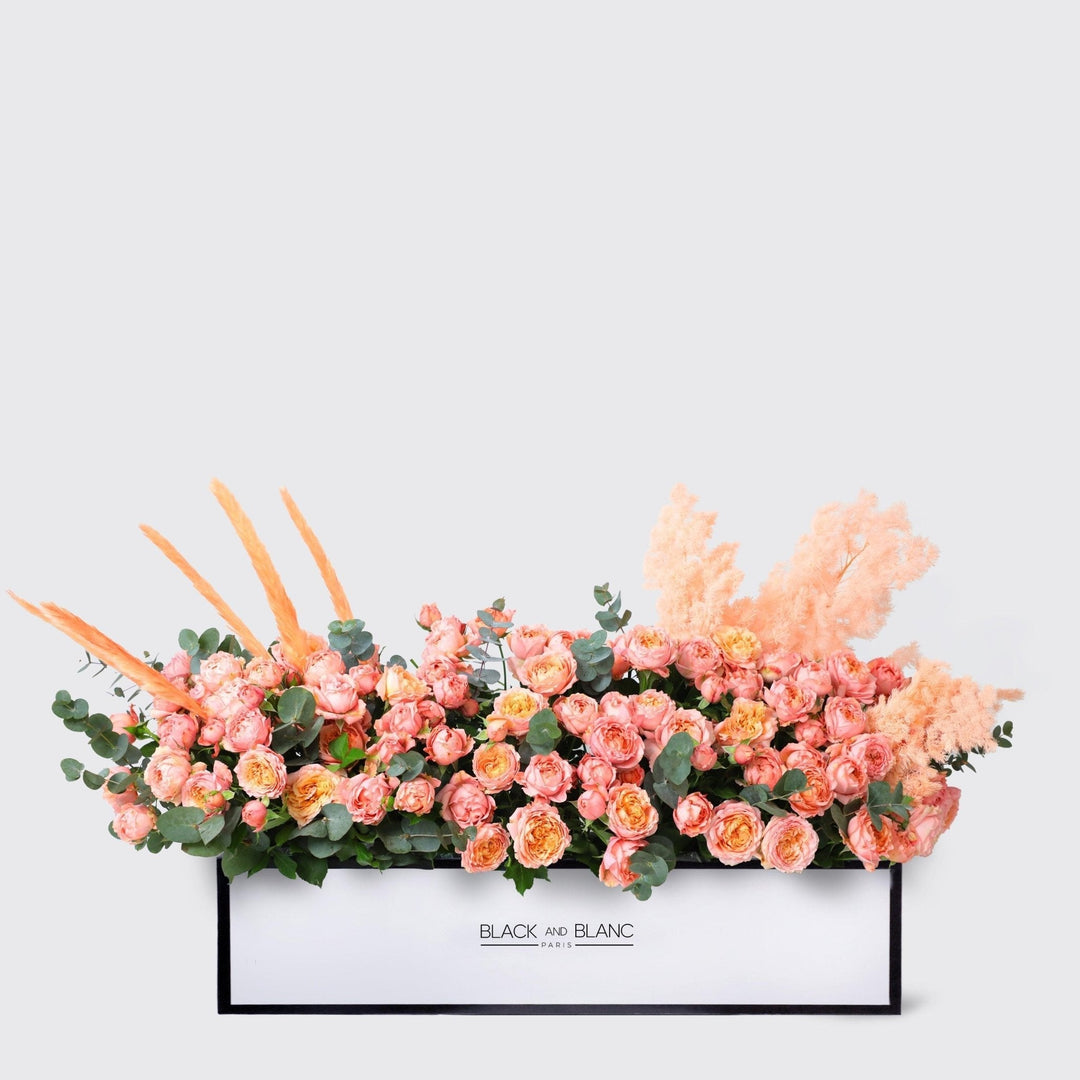 Julietta Peach 1 Meter in Box - BLACK AND BLANC