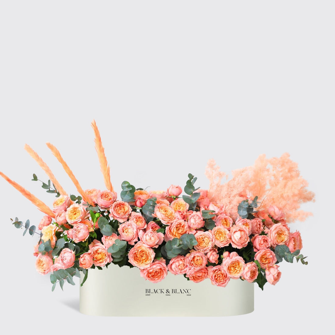 Julietta Peach Half Meter in Box - BLACK AND BLANC