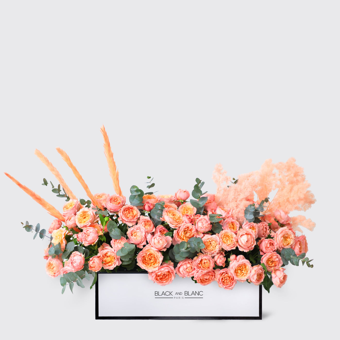 Julietta Peach Half Meter in Box - Fresh Flowers - wd