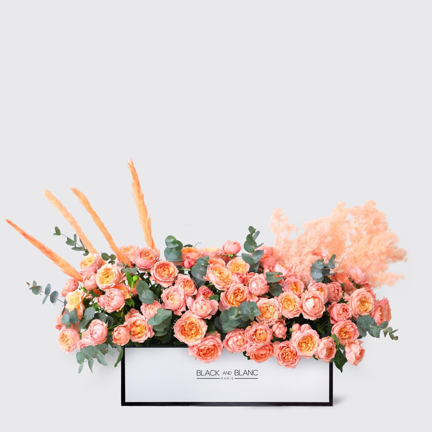 Julietta Peach Half Meter in Box - BLACK AND BLANC