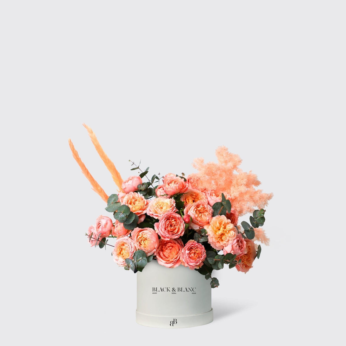 Julietta Peach in Box - BLACK AND BLANC