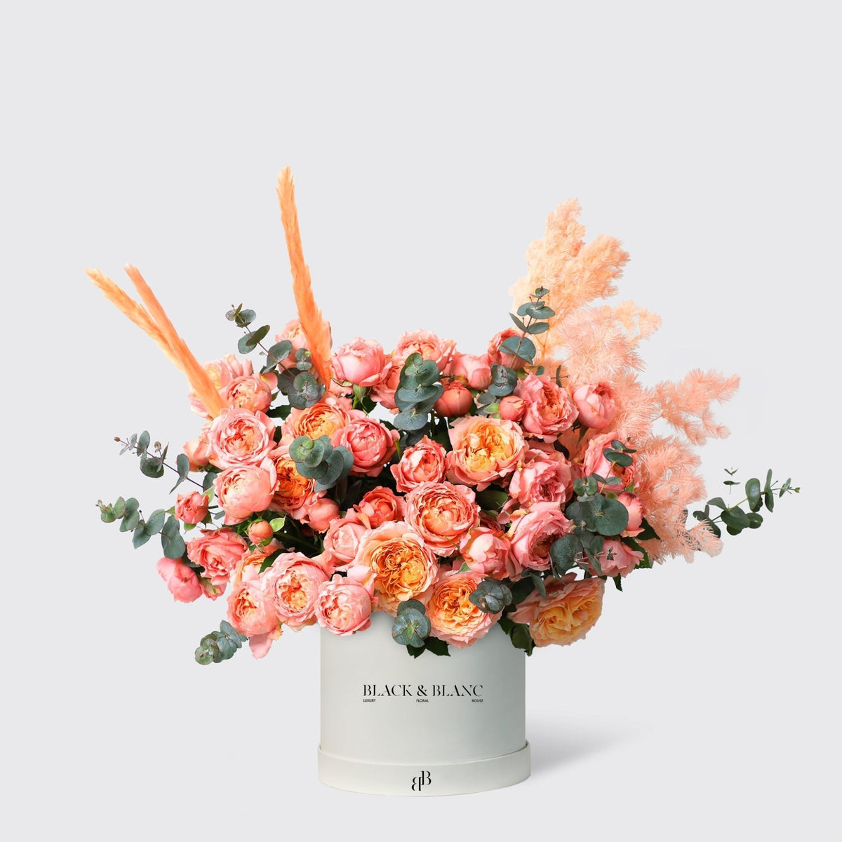 Julietta Peach in Box - BLACK AND BLANC